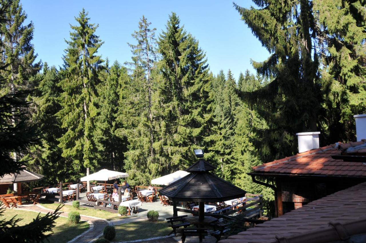 Vila Jelena Zlatar Nova Varos Brdo Exteriér fotografie