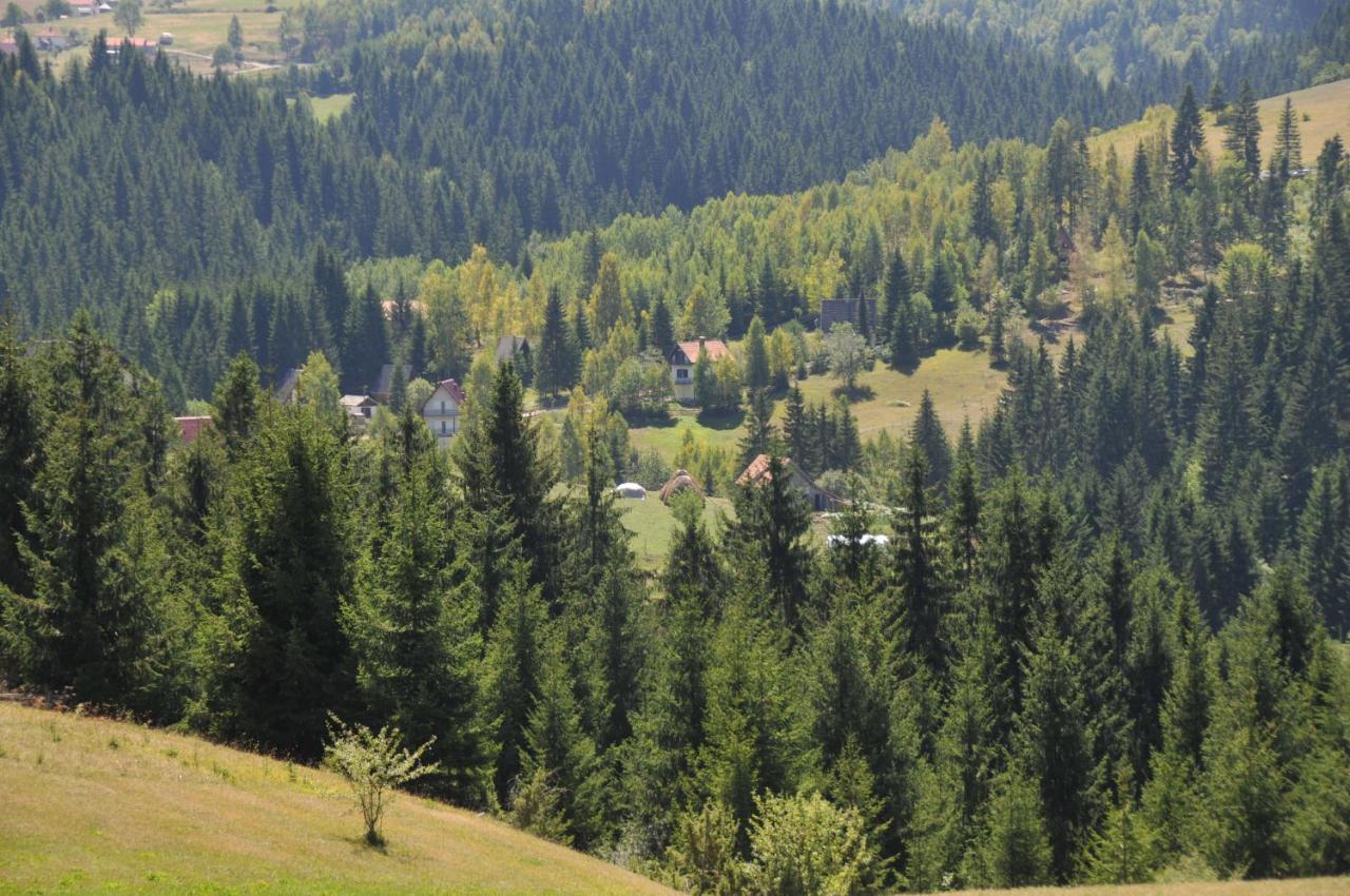 Vila Jelena Zlatar Nova Varos Brdo Exteriér fotografie