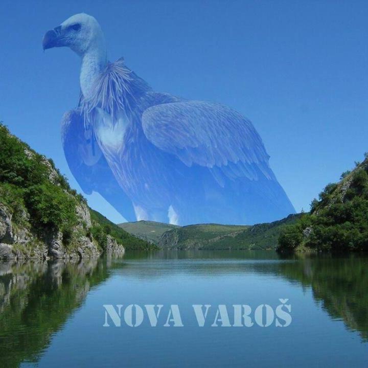 Vila Jelena Zlatar Nova Varos Brdo Exteriér fotografie